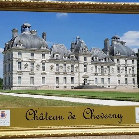 סנט-איגנן Les Capucines Proche Beauval & Chateaux מראה חיצוני תמונה