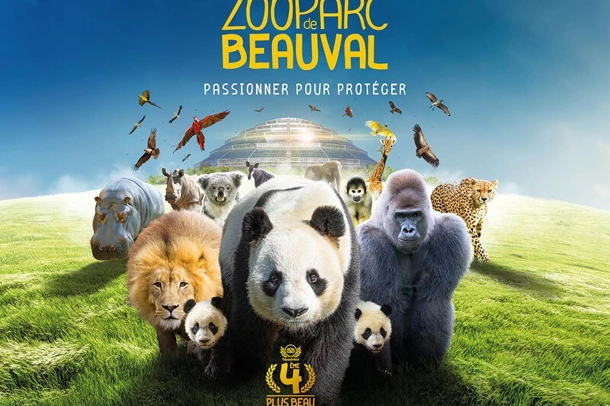 סנט-איגנן Les Capucines Proche Beauval & Chateaux מראה חיצוני תמונה